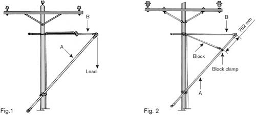 Ritz - Wire Tongs