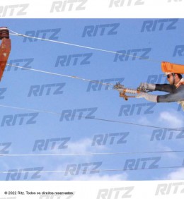 Ritz - Temporary Switching Tool Device